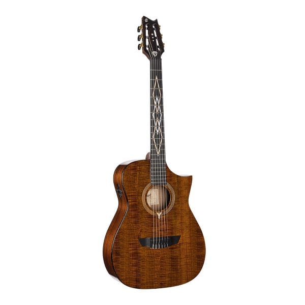 cort-luxe-nylon-br-w-case-all-solid-elektro-klasicna-gitara Cort Luxe Nylon BR w/case All-Solid Elektro-klasična gitara - Slika 1