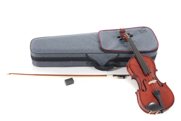 Gewa VIOLIN OUTFIT EW 4/4 German SetUp - Slika 1