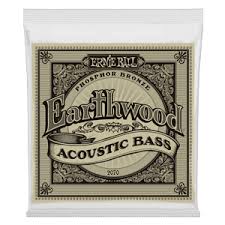 ernie-ball-2070-earthwood-acoustic-bass Ernie Ball 2070 Earthwood Acoustic Bass - Slika 1
