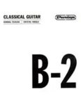 Jim Dunlop DCY02BNB Single 2B-String