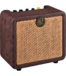 Ortega PTWO 12W Acoustic Amp