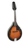 GEWA Mandolin A-1 Select w/hard case