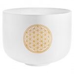 MEINL Sonic Energy Crystal Singing Bowl 10' - Flower of Life/128Hz